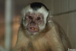 Tierpark Gronau