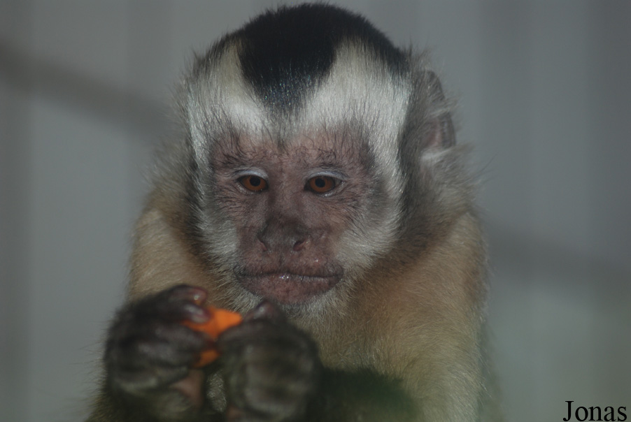 Tierpark Gronau