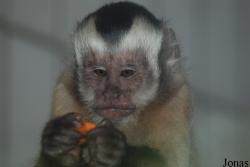 Tierpark Gronau