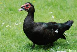 Zoologischer Garten Karlsruhe