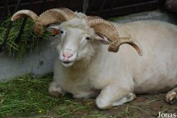 Zoologischer Garten Karlsruhe