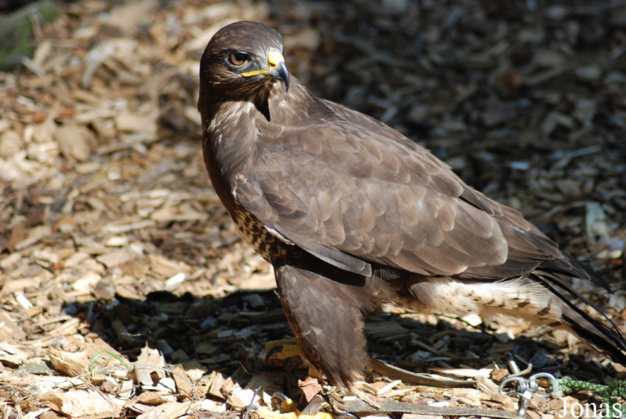 Zoo Olomouc