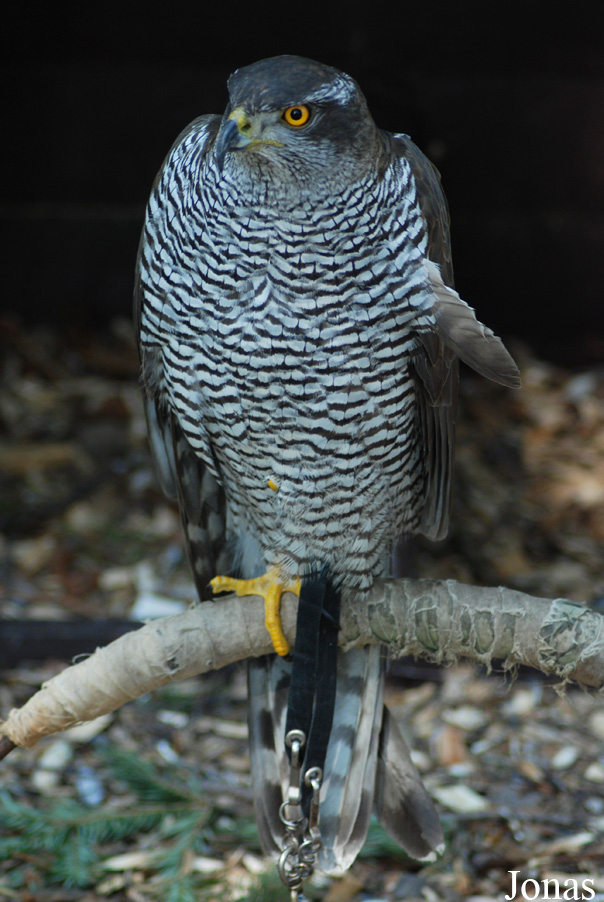 Zoo Olomouc