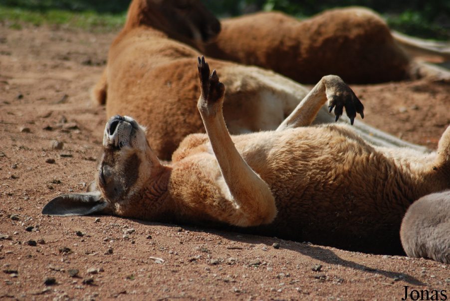 Zoo Olomouc