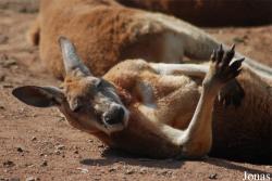 Zoo Olomouc