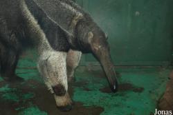 Zoo Olomouc