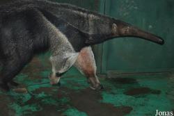 Zoo Olomouc