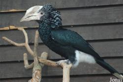 Zoo Olomouc