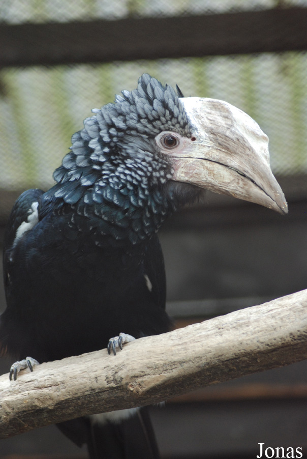 Zoo Olomouc