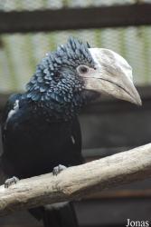 Zoo Olomouc