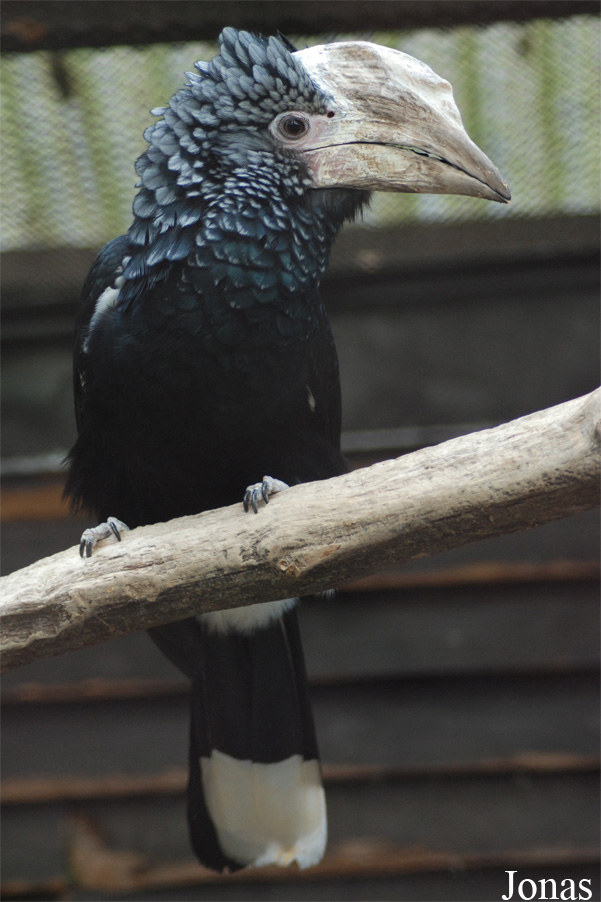 Zoo Olomouc