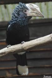 Zoo Olomouc