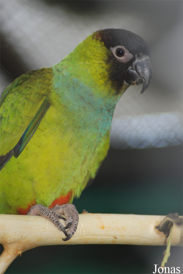 Zoo Olomouc
