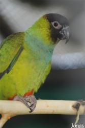 Zoo Olomouc