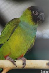 Zoo Olomouc