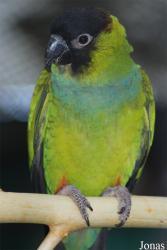 Zoo Olomouc