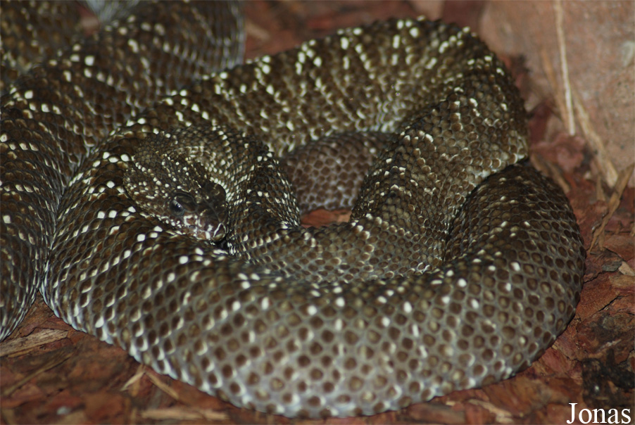 Zoo Jihlava