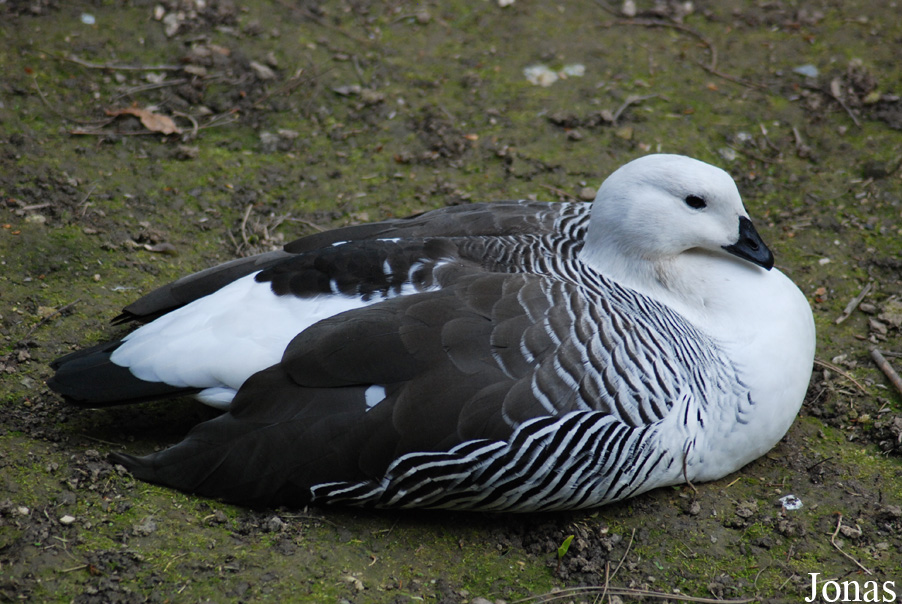 Zoo Jihlava