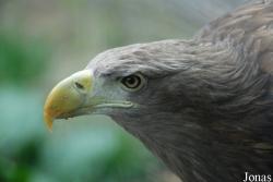 Zoo Jihlava