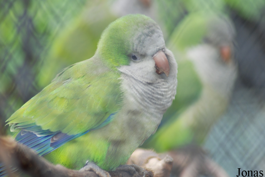 Zoo Praha