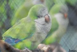Zoo Praha