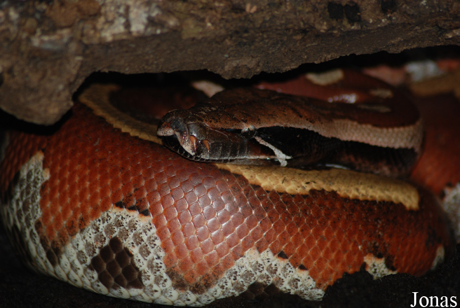Zoo Praha