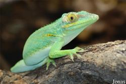 Zoo Praha
