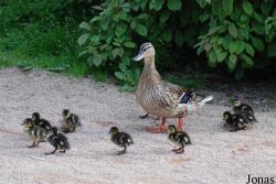 Zoo Praha