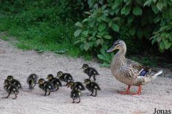 Zoo Praha