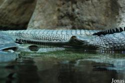 Zoo Praha