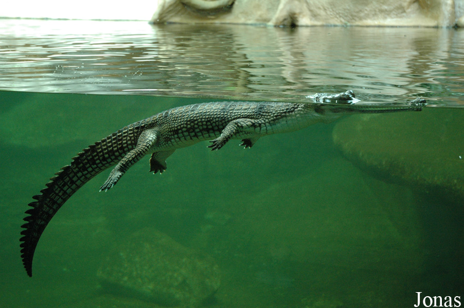 Zoo Praha