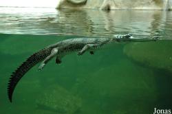 Zoo Praha