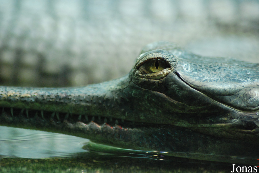 Zoo Praha
