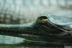 Zoo Praha