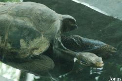 Zoo Praha