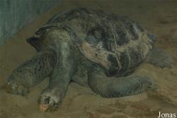 Zoo Praha