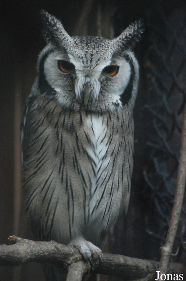Zoo Praha