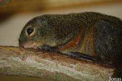 Zoologická a botanická zahrada města Plzně