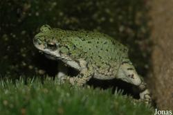 Zoologická a botanická zahrada města Plzně