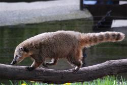 Zoologická a botanická zahrada města Plzně