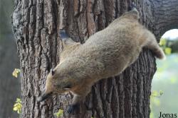 Zoologická a botanická zahrada města Plzně