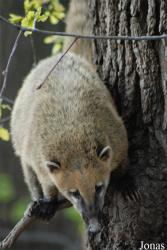 Zoologická a botanická zahrada města Plzně