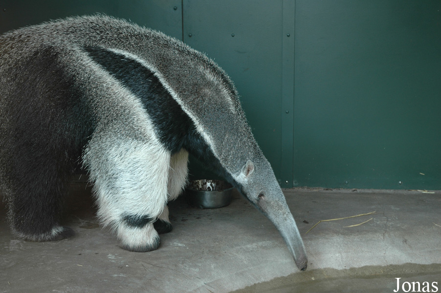 Zoo Parc Overloon