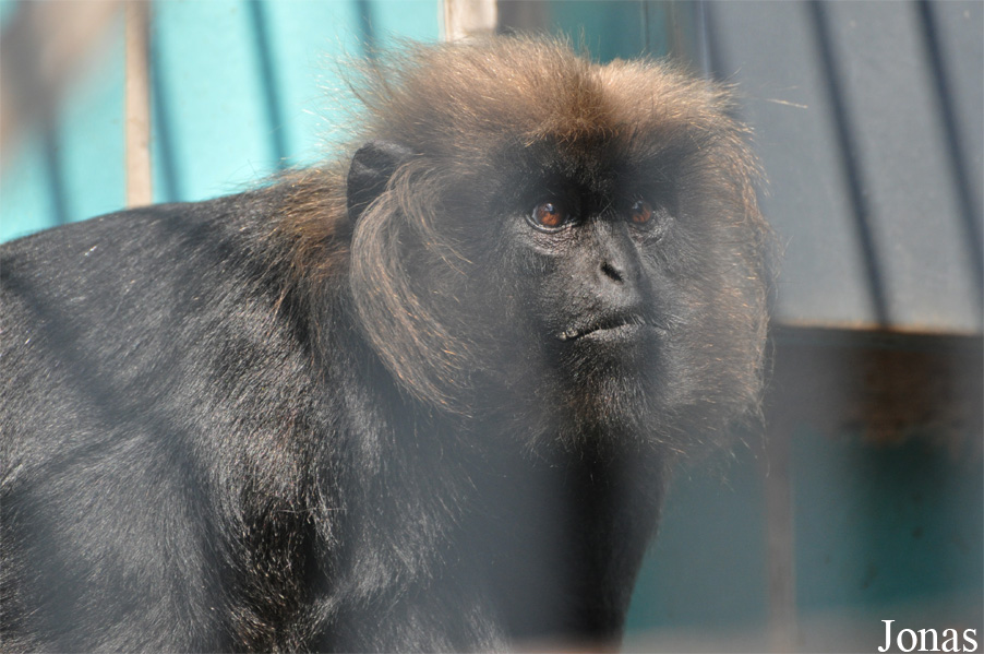 Thüringer Zoopark Erfurt