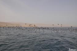 Musandam Peninsula