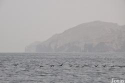 Musandam Peninsula
