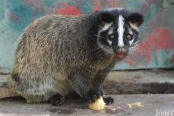 Beijing Zoological Gardens
