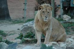 Jardim Zoológico de Lisboa