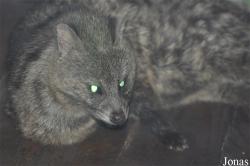 Beijing Zoological Gardens