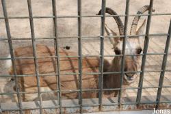 Beijing Zoological Gardens